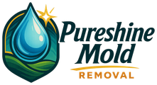 Pureshine Mold Removal